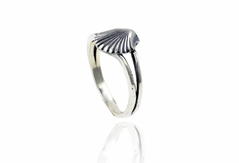 Anillo Concha 2ª medida 0,8cm