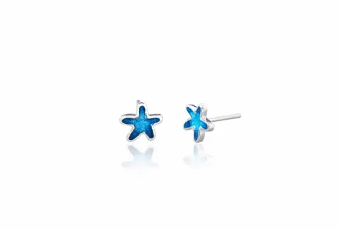 Arracades estrella de mar petita blaves