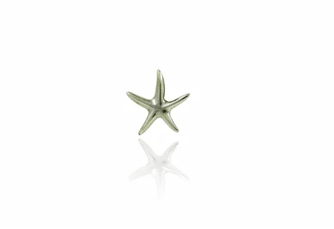 Colgante Estrella de Mar mediano
