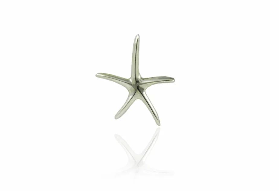 Colgante Estrella de Mar super grande