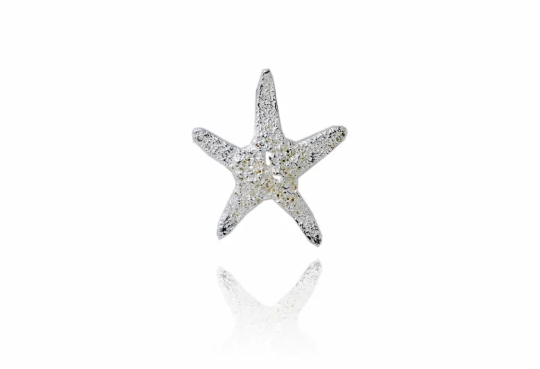 Colgante Estrella de mar volcánica pequeña plata