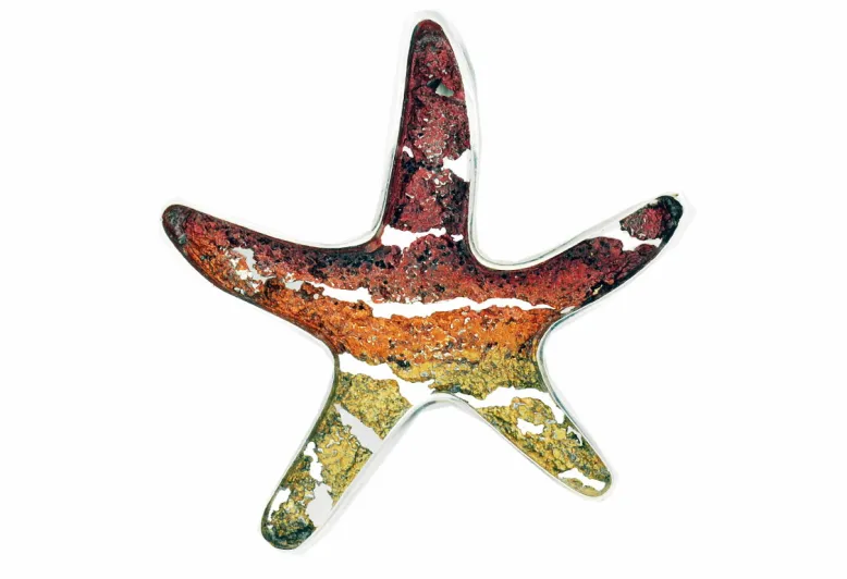 Sea Star ochre pendant