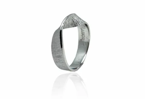 Kleiner Ring Moebius