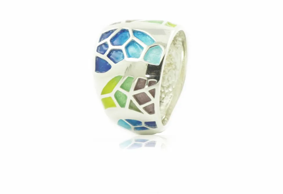 Anillo Plancton colorines