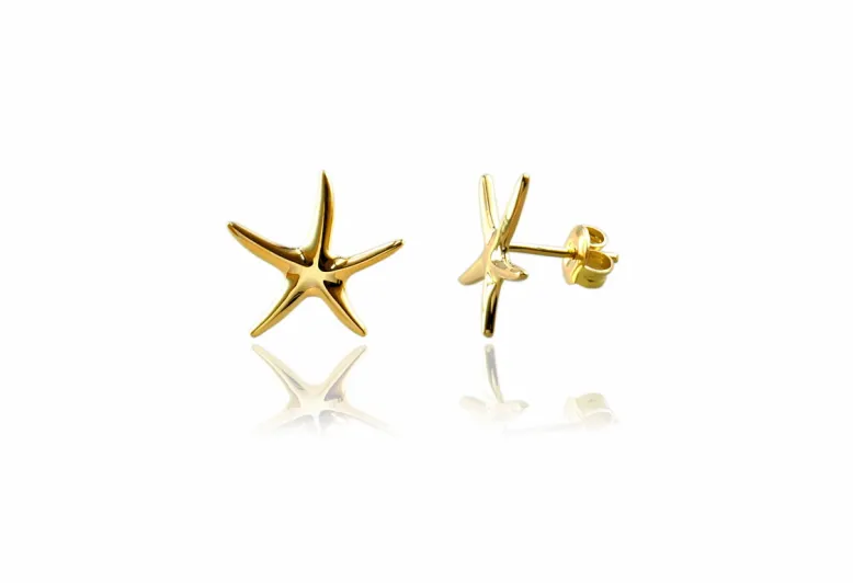 Pendientes estrella mar mediana