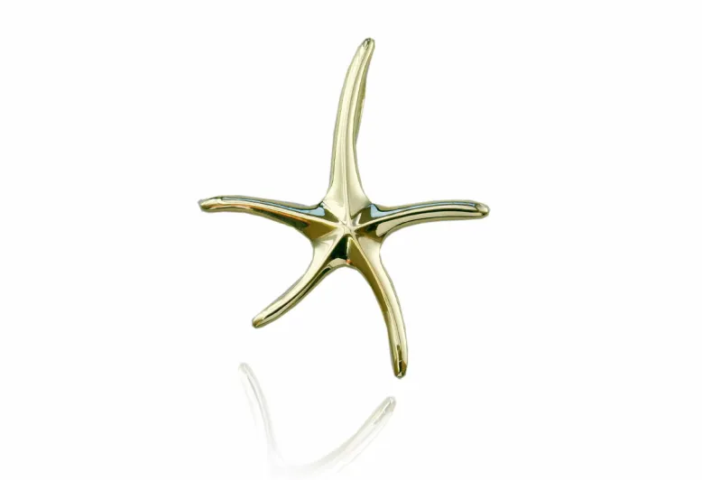Colgante estrella de mar