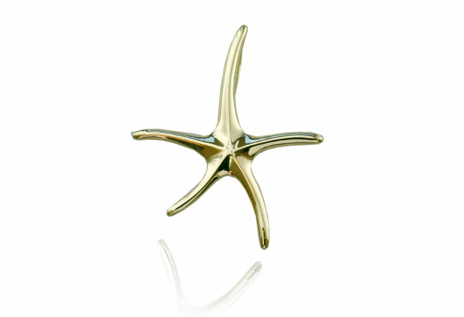 Colgante estrella de mar
