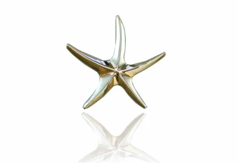 Colgante estrella de mar 3cm gruixuda