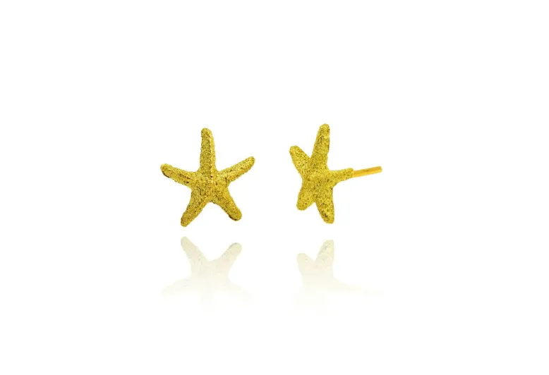 Pendientes Star pequeños