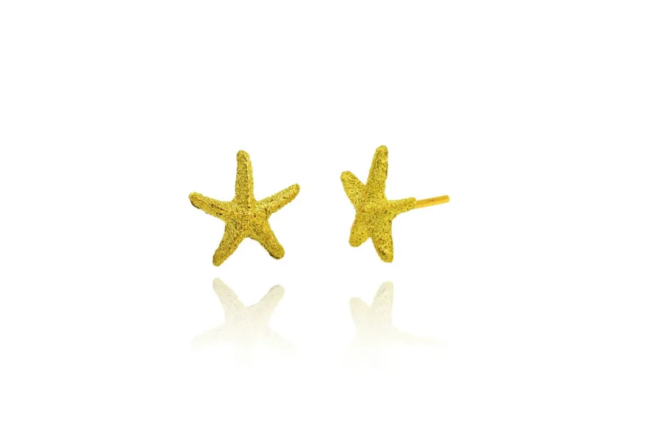 Pendientes Star pequeños