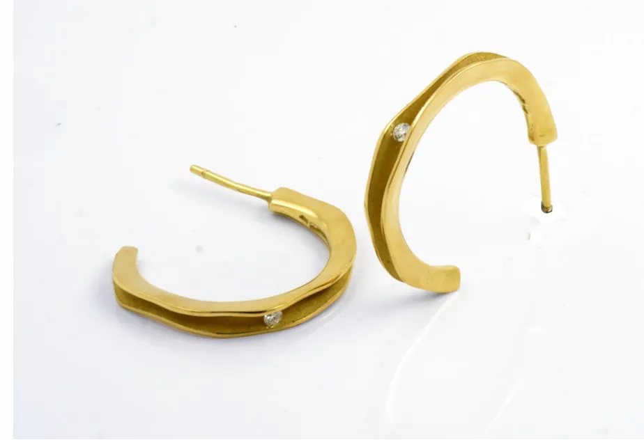 Fi earring