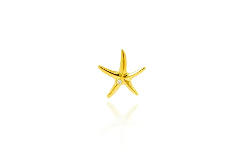 Penjoll estrella mar mitjana BR dins a dalt baga r