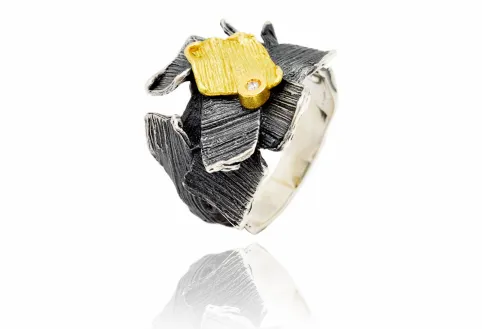 Anell summum petit plata i or