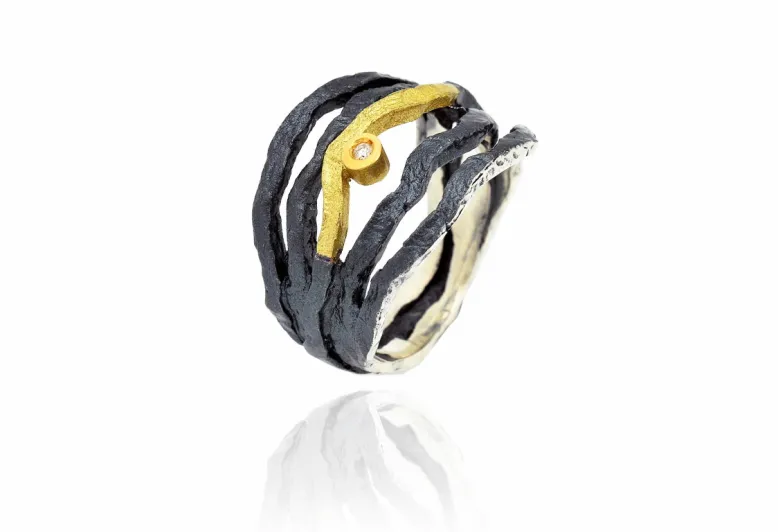 Anell Forza gran plata i or