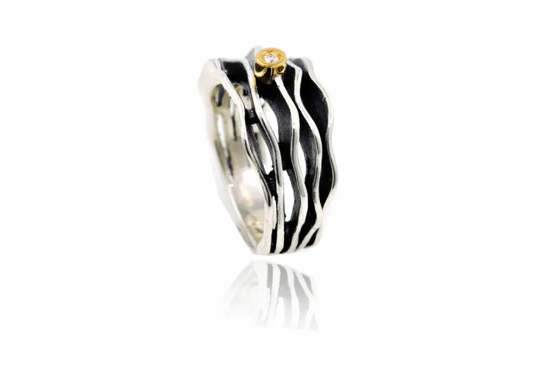 Multi Fi 5 silver&gold ring