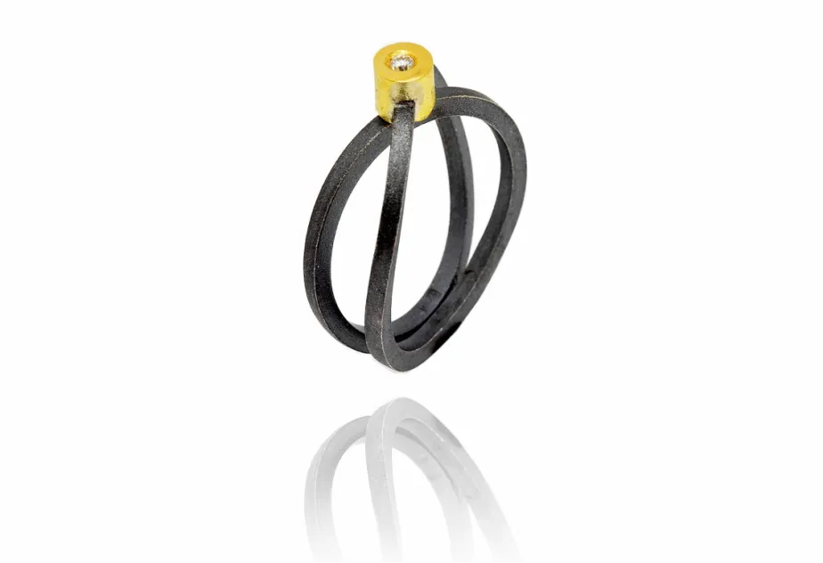 Ring with 2 Silver Strands, Diamond in Round Gold Setting