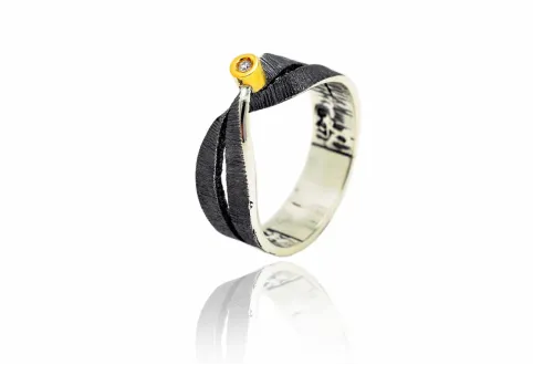 Anillo Moebius doble