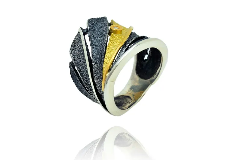 Anell Fenix plata i or