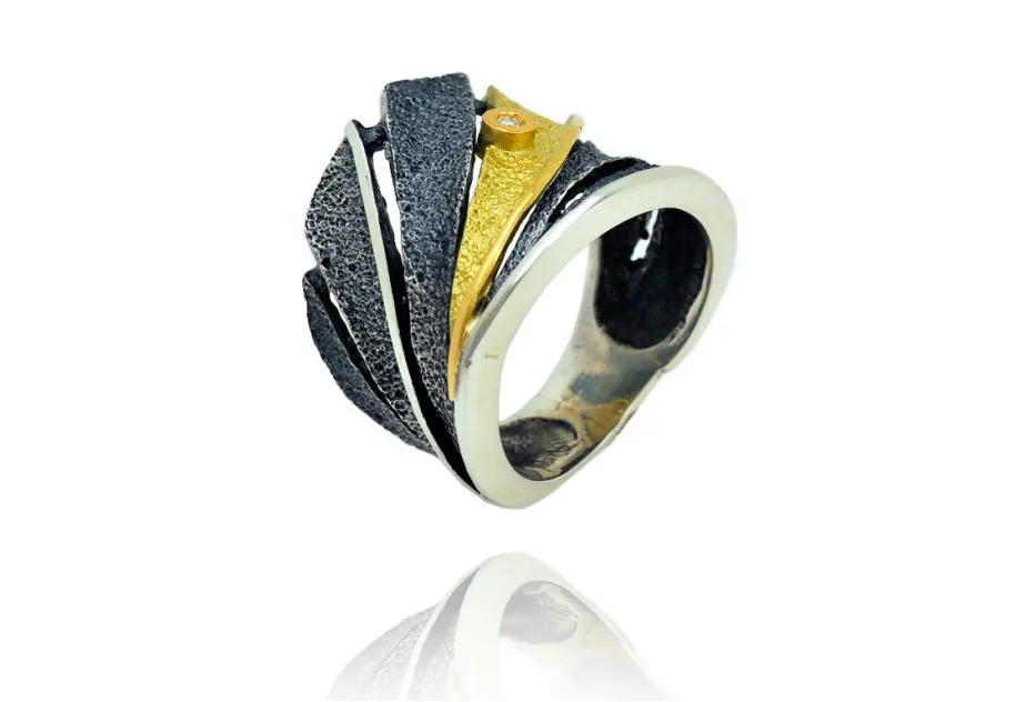 Anell Fenix plata i or