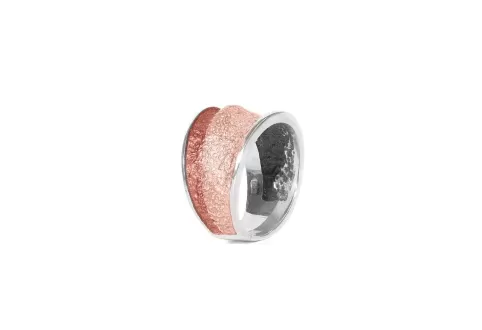 Kleiner roter Ring Troia 2